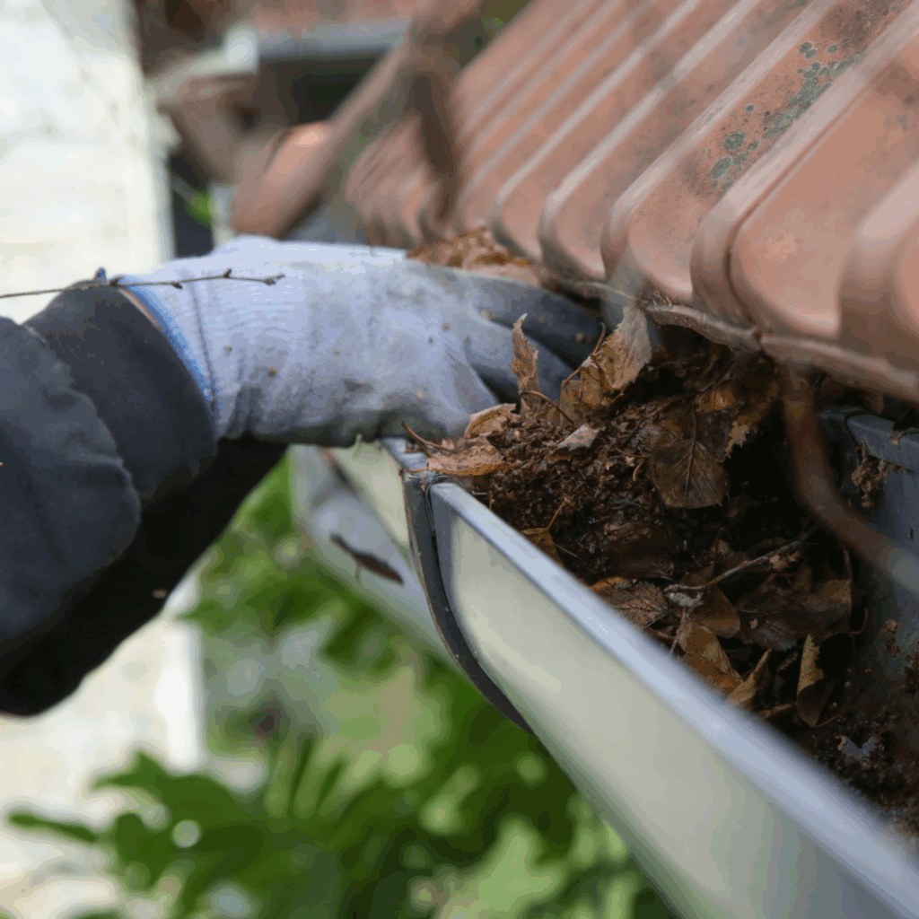 barnet-gutter-cleaning