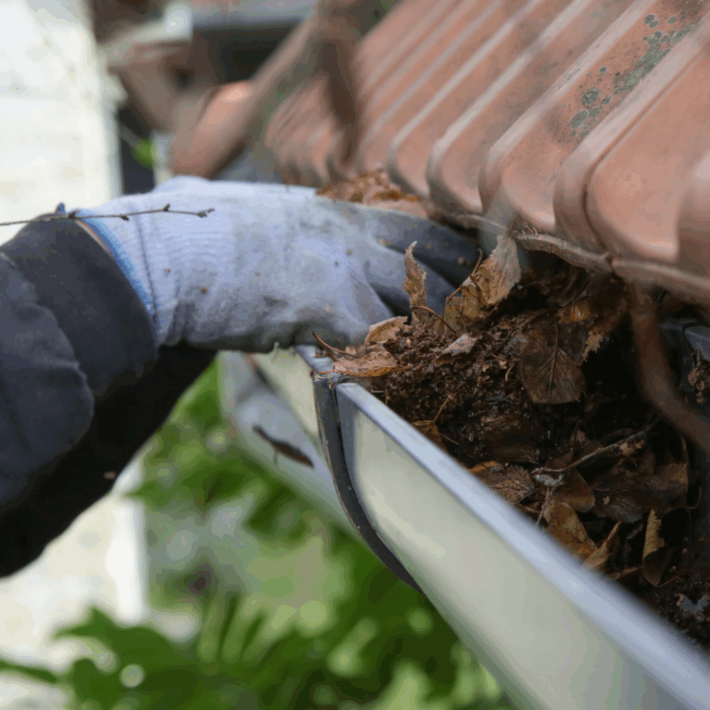 gutter cleaning london