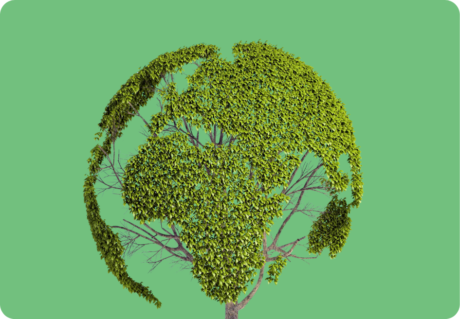 essex-driveway-cleaning